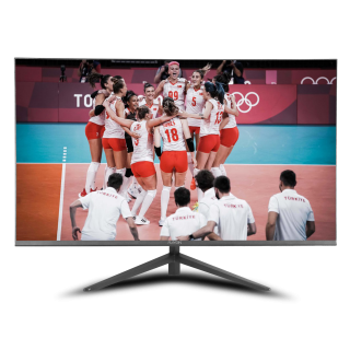 RAYDIN P270VHFD 27" 5ms, 75Hz, Full HD, D-Sub, HDMI, Frameless, IPS LED Monitör